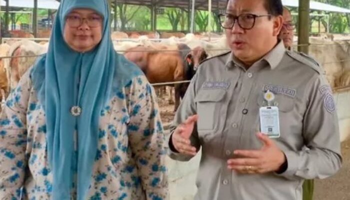 Sidak Feedlot, Kementan Jamin Stok Daging Sapi Cukup Jelang Nataru