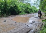 Hantam Lubang Jalan, Onder¬dil Kendaraan Warga Ogan Ilir Rusak