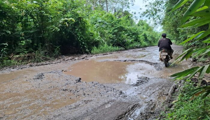 Hantam Lubang Jalan, Onder¬dil Kendaraan Warga Ogan Ilir Rusak