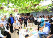 Kunjungi OKI, Herman Deru Apresiasi Kebun Anggur Viral di Desa Selapan Ilir