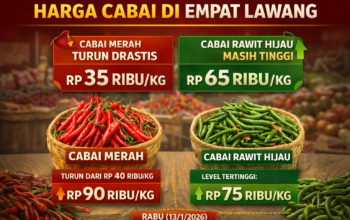Kabar Baik! Harga Cabai Merah Turun di Empat Lawang