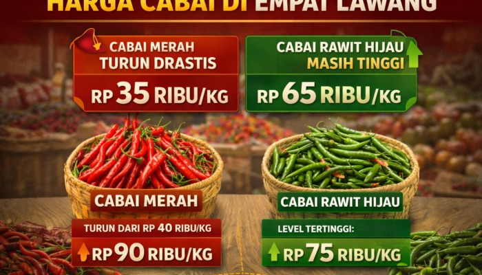 Kabar Baik! Harga Cabai Merah Turun di Empat Lawang