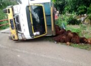 Diduga Langgar Tonase, Truk Sawit Terguling dan Jadi Sorotan Publik