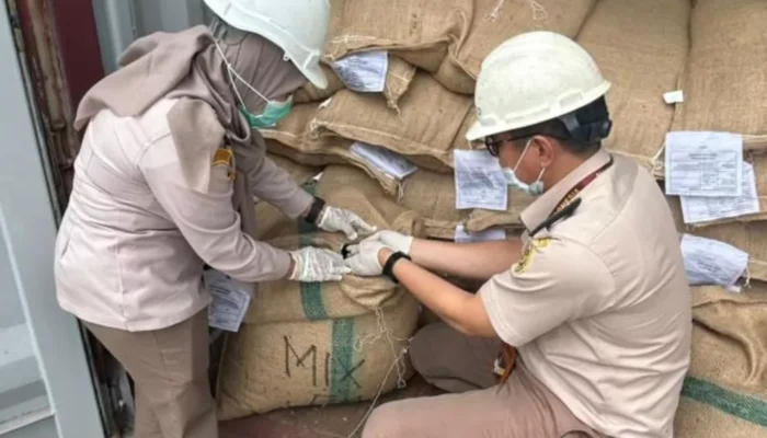 Aroma Kopi Sumsel Mendunia, Robusta Pagaralam Dikirim ke Australia