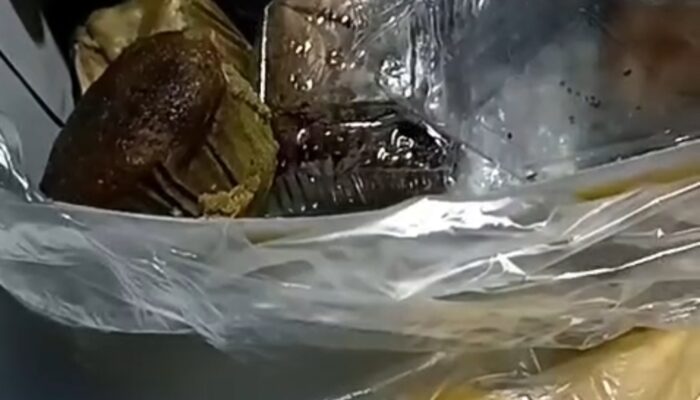 Menu Makanan Bergizi Gratis di Ogan Ilir Disorot, Warga Khawatirkan Kesehatan Anak