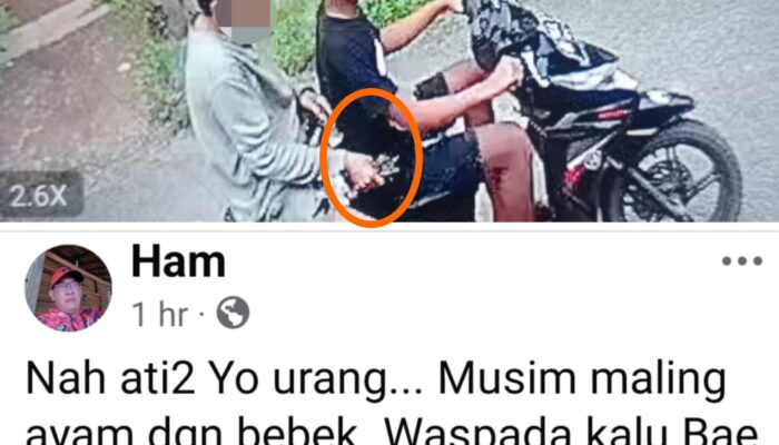 Pencuri Ayam dan Bebek Merajalela di Tanjung Batu, Warga Resah