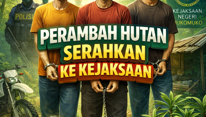 Gakkum Kemenhut Limpahkan Tiga Tersangka Perambah Hutan ke Kejaksaan