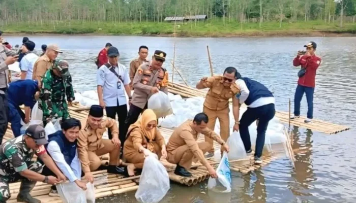 Jaga Ekosistem dan Dongkrak Ekonomi, Pemkab OKU Selatan Tebar 110 Ribu Benih Ikan