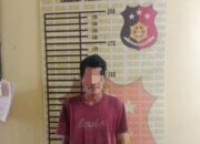 Tak Sekali Beraksi, Pencuri Brondol Sawit di Ogan Ilir Akhirnya Dibekuk