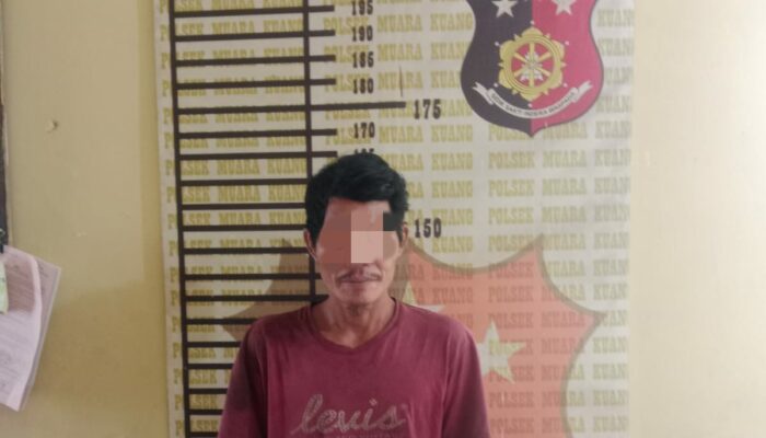 Tak Sekali Beraksi, Pencuri Brondol Sawit di Ogan Ilir Akhirnya Dibekuk