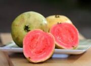 Jambu Biji dan Manfaatnya bagi Lansia: Buah Murah dengan Khasiat Besar