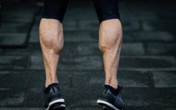 Masterclass Kaki: 8 Gerakan Fundamental untuk Membangun Kekuatan dan Definisi Otot Bawah