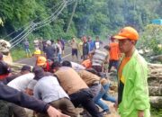 Tiga Pekan Diguyur Hujan, BPBD Lahat Imbau Waspada Pohon Tumbang