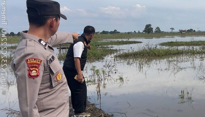 Ibu Rumah Tangga Ditemukan Tewas Mengapung di Sawah OKI