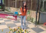 Liburan Sambil Belajar, Ribuan Satwa Sambut Pengunjung di Palembang Bird Park
