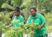 Dari Minyak Jelantah hingga Sampah Organik, Pertamina Patra Niaga Perkuat Ekonomi Hijau