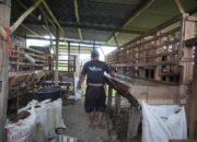 Dari Gulma Menjadi Berkah, Pertamina Patra Niaga Dorong Pemberdayaan Masyarakat Berbasis Pengelolaan Eceng Gondok