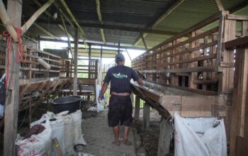 Dari Gulma Menjadi Berkah, Pertamina Patra Niaga Dorong Pemberdayaan Masyarakat Berbasis Pengelolaan Eceng Gondok