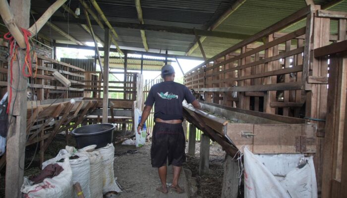 Dari Gulma Menjadi Berkah, Pertamina Patra Niaga Dorong Pemberdayaan Masyarakat Berbasis Pengelolaan Eceng Gondok