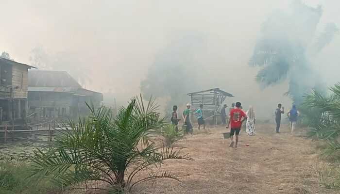 Api Mengamuk di Ogan Ilir, Permukiman Warga Nyaris Terdampak