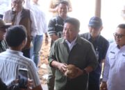 Program Sultan Muda Herman Deru–Cik Ujang Makin Berdampak, Ekspor Kelapa Sumsel Tembus Pasar Internasional