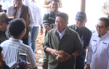 Program Sultan Muda Herman Deru–Cik Ujang Makin Berdampak, Ekspor Kelapa Sumsel Tembus Pasar Internasional