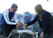 Jaga Ekosistem Bahari, Pertamina Trans Kontinental Tanam Terumbu Karang di Laut Sulawesi Utara