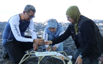 Jaga Ekosistem Bahari, Pertamina Trans Kontinental Tanam Terumbu Karang di Laut Sulawesi Utara