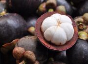 Dikenal Sebagai “Ratu Buah”, Inilah Segudang Manfaat Manggis bagi Kesehatan
