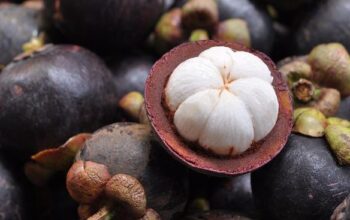 Dikenal Sebagai “Ratu Buah”, Inilah Segudang Manfaat Manggis bagi Kesehatan