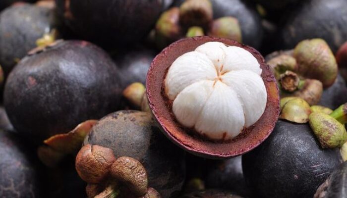 Dikenal Sebagai “Ratu Buah”, Inilah Segudang Manfaat Manggis bagi Kesehatan