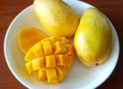 Mangga Bisa Jadi Pilihan untuk Membantu Mencukupi Kebutuhan Vitamin Tubuh