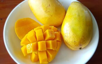Mangga Bisa Jadi Pilihan untuk Membantu Mencukupi Kebutuhan Vitamin Tubuh
