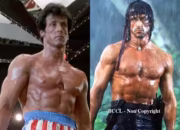 Sylvester Stallone Akui Gunakan Steroid Saat Syuting Rocky III, Tubuhnya Hanya 2,6 Persen Lemak